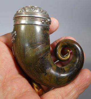 Fine Antique 19th C.  Silver mounted Scottish Rams Horn Snuff Mull 3
