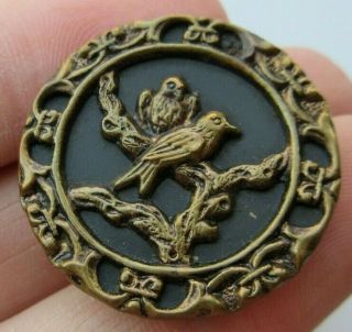 Wonderful Antique Vtg Victorian Metal Picture Button 2 Birds On Branch 1 " (a)