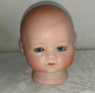 Small Antique Bisque Baby Doll Head Hermann Steiner For 940 Body Sleep Eyes