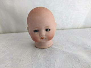 Small Antique Bisque Baby Doll Head Hermann Steiner for 940 body sleep eyes 2