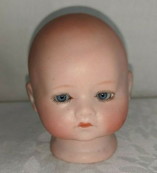 Small Antique Bisque Baby Doll Head Hermann Steiner for 940 body sleep eyes 3