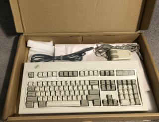 Vintage Ibm Model M Clicky Keyboard And 2 - Button Ps2 Mouse