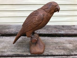 Vintage Hand Carved Wood St.  Parrot Bird Figurine Statue 6 " Tall