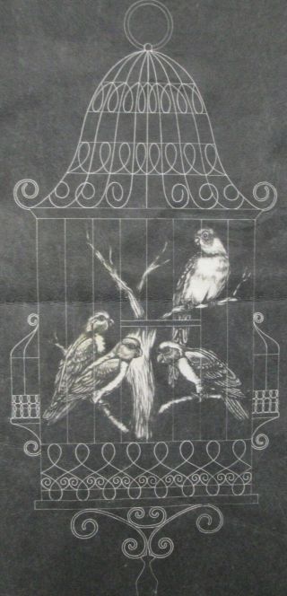 Vintage Tri Chem Picture to Paint Felt USA Poster Bird Cage 4 Birds Black Velvet 2