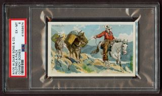 1888 N105 Cowboy Scenes " Piloting A Pack " Psa 6 Ex - Mt 41558674