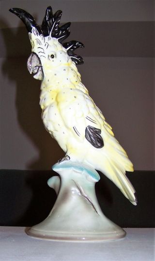 Vintage Large Mcm Goldscheider Cockatoo Ceramic Bird Figurine Yellow White