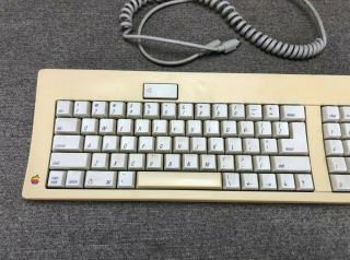 Apple/Macintosh M0116 Computer Keyboard Alps Keys Mechanical Clicky - Key 2