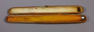 Antique Cased Extra Long Amber Cigarette Cheroot Holder