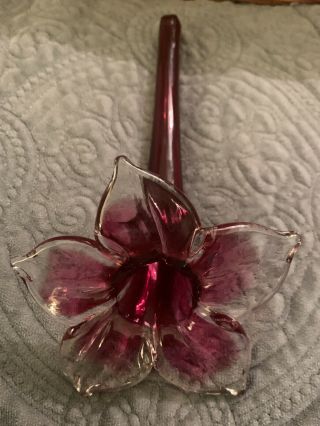 Vintage Hand Blown Glass Flower Lily Cranberry Art Glass Trumpet Vase
