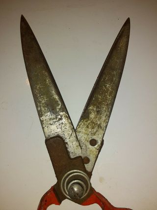 Vintage Garden Pruning Shears Cutters Clippers,  Cast Iron 2