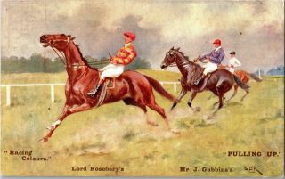 Horse Racing " Pulling Up " Racing Colours Vintage Postcard B36