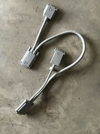 Vintage Apple Dual Y Cable Cord 590 - 2104 - A