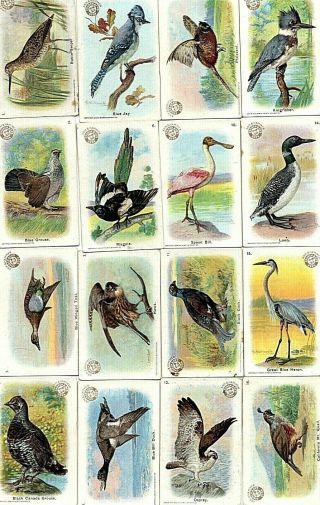 1908 Series Of Birds Card Almost Complete Set Of 29 Arm & Hammer Soda