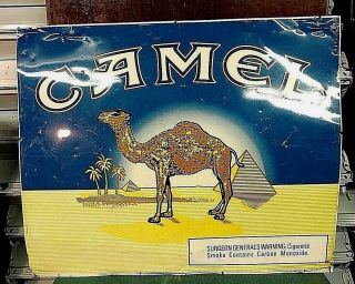 Vintage Camel Cigarettes Tobacco Tin Metal Sign Blue Large Tin One Sided 28 " X34 "
