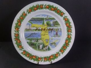 10 " Vintage Florida Travel Souvenir Decorative Plate Oranges Border