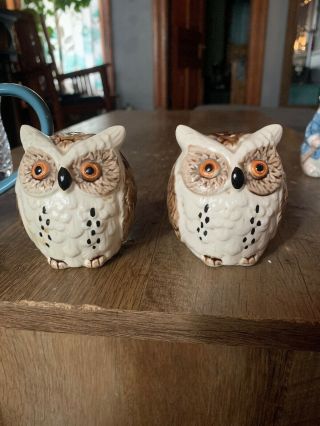 Vintage Enesco Brown Owls Salt And Pepper Shakers Made In Japan.
