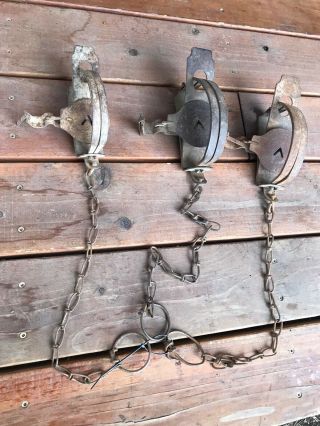 3 Vintage 2 And 3 Oneida Jump Animal Trap Company Traps Newhouse