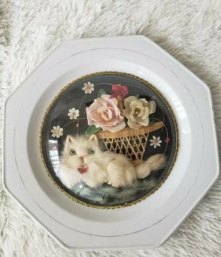 Rare Vintage 3d Furry Cat Porcelain Plate With Flowers