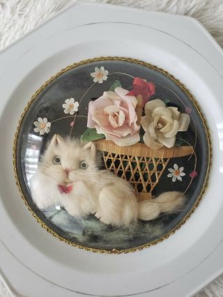 Rare vintage 3D furry cat porcelain plate with flowers 2
