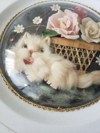 Rare vintage 3D furry cat porcelain plate with flowers 3