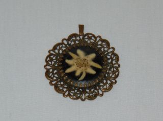 Vintage Old Antique Victorian Necklace Pendant Circa 1880