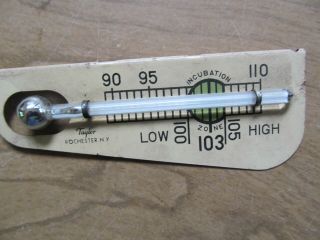 Vintage TAYLOR TYCOS Incubator Thermometer 2