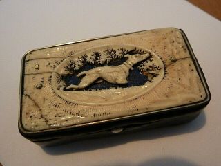 Antique/georgian Leather Bound Snuff Box With A Bovine Bone Carving Of A Dog.