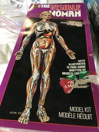 Revell The Visible Woman Model Kit H - 901 Vintage 1977