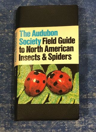 Vintage Audubon Society: Field Guide To North American Insects And Spiders 1980