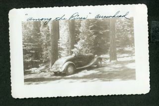 Vintage Photo 1934 Ford Roadster Car Among The Pines Lake Arrowhead 422069
