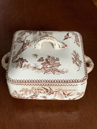 Vintage J.  D.  Co Madras Brown Transferware Aesthetic Birds Candy Dish W/lid