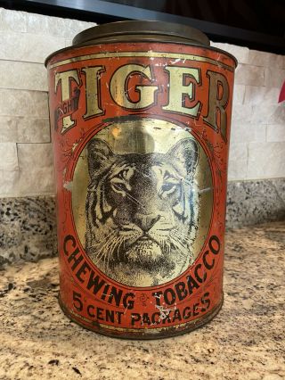Large Vintage Tiger Chewing Tobacco Store Tin 48 Packages Rare