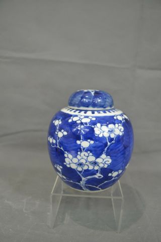 Antique Vintage Chinese Porcelain Blue & White Prunus Ginger Jar