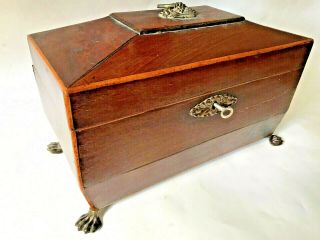 11 " Antique Victorian Wood Box Metal Claws Feet Marquetry W Orig Key Tea Caddy ?