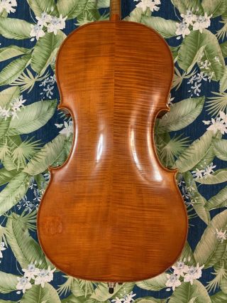 Old Antique German Cello 4/4 Semi Vintage - Sound W/ Case Usa Only