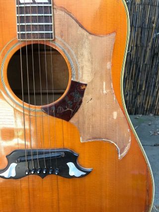Vintage Gibson Dove 1968 Player Grade