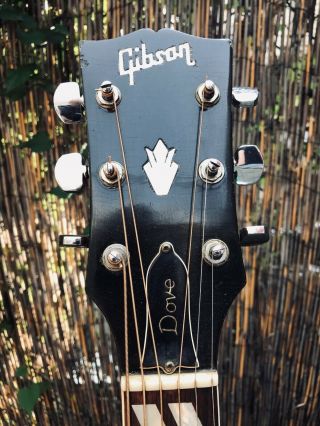 Vintage Gibson Dove 1968 Player Grade 3