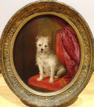 19th Century French School Portrait Of A White Terrier Dog Antique Oil Painting