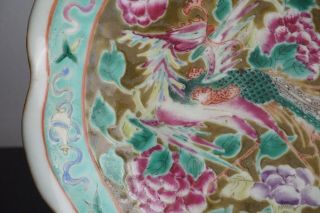 Fine Antique Chinese 19th Century Straits Peranakan Nyonya Ware Dish Signed 3