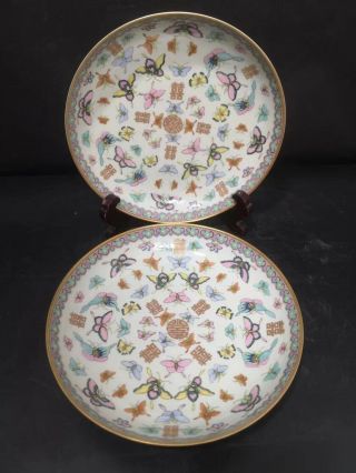 Pair Antique Chinese Famille Rose Porcelain Plate 1900s
