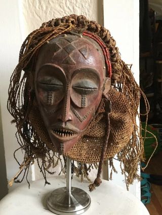Antique Chockwe Mask Mwana Pwo Ceremonial Headdress Congo Drc Late 1800 