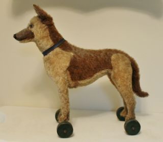 Antique Steiff German Shepherd Dog On Wheels 1923 - 1928 Button Pull Toy