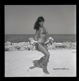 Bettie Page Hottie In Bikini 1954 Camera Negative Photograph Bunny Yeager Rare 2