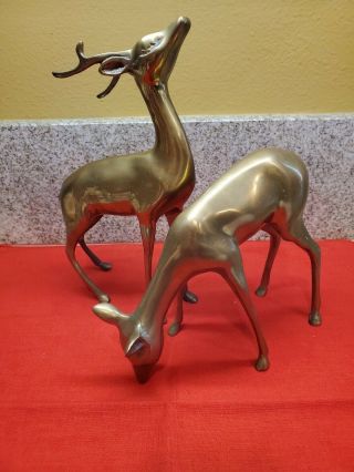 Vintage Solid Brass Deer & Grazing Doe Figurines 10”h
