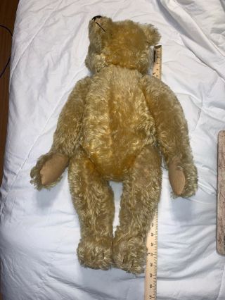28 " Early Antique Steiff Golden Mohair Jointed Teddy Bear W/ Old Button