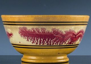 VERY RARE 19thC RED SEAWEED EARTH WORM MOCHA MOCHAWARE YELLOW WARE SERVING BOWL 2