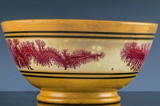 VERY RARE 19thC RED SEAWEED EARTH WORM MOCHA MOCHAWARE YELLOW WARE SERVING BOWL 3