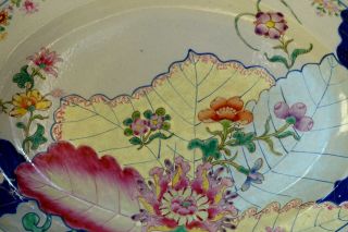 RARE FINE Chinese Antique Famille Rose Tobacco Leaf Porcelain Platter 2