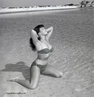 Bettie Page Sun Goddess Bikini 1954 Camera Negative Photograph Bunny Yeager Rare