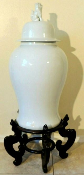 Large Antique/vtg 48 " Chinese White Porcelain Foo Dog Ginger Jar Vase Wood Stand